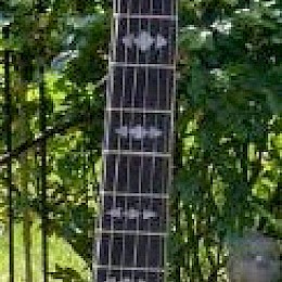 Framus Hoyer GIMA guitar bass neck inlay made in Germany 1960 - 70s 4