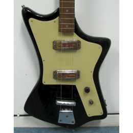 Ani bass made in Armenia 2