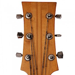 Wardle guitar 7