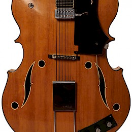 Wardle guitar 6