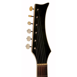 Perl Gold box guitar 3