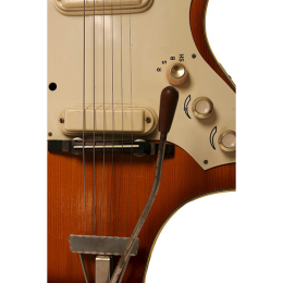 Perl Gold Eko 700 copy 3