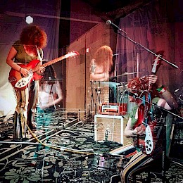 White Mystery's Miss Alex White4