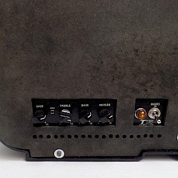 Guitarage's custom 5watt Radio amp12