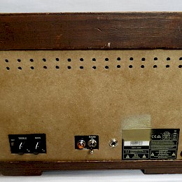Guitarage's custom 5watt Radio amp7