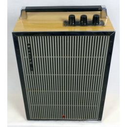 Akkord-2 guitar combo amp made in USSR