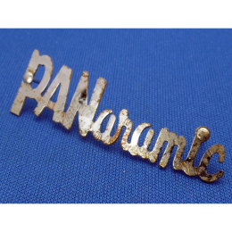 1960s Italian Panaramic by Crucianelli amp guitar bass logo1