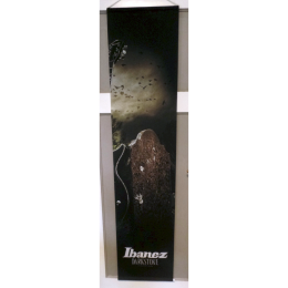 Ibanez Darkstone banner 2010 a studio proberaum mancave