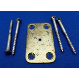 Dynacord Welson guitar bass neckplate & screws 1960-70er made in Italy
