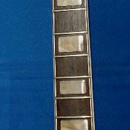 Dynacord by Welson guitar neck 2x3 1970s made in Italy 1