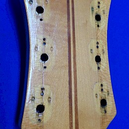 Dynacord by Welson guitar neck 2x3 1970s made in Italy 3