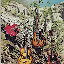 Hagstrom guitars & basses catalog 1972 made in Sweden 3b