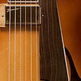 Buscarino archtop guitar type pickguard macassar ebony 2