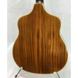 Sinfonia 12 string guitar body back made In ddr Germany 1970s