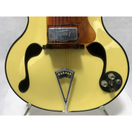 Wandre Framez BB bizarre guitar made in Italy 1959 e