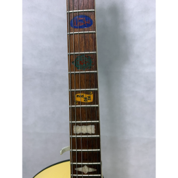 Wandre Framez BB bizarre guitar made in Italy 1959 h